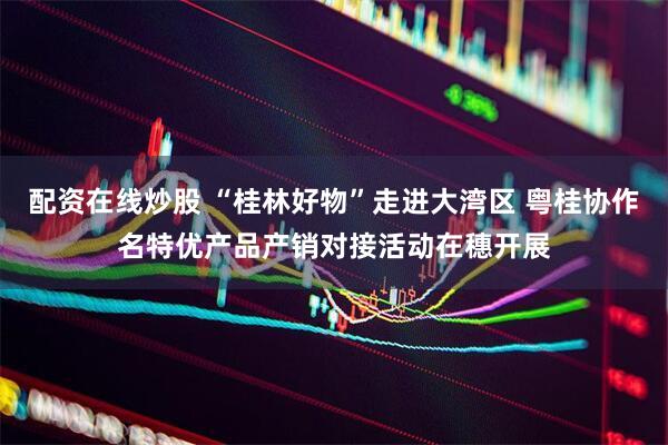 配资在线炒股 “桂林好物”走进大湾区 粤桂协作名特优产品产销对接活动在穗开展
