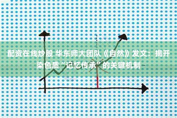 配资在线炒股 华东师大团队《自然》发文:揭开染色质“记忆传承”的关键机制