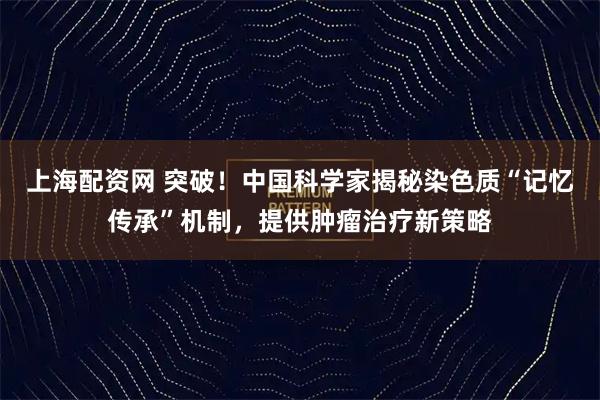 上海配资网 突破!中国科学家揭秘染色质“记忆传承”机制,提供肿瘤治疗新策略