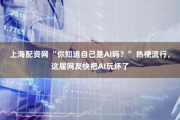 上海配资网 “你知道自己是AI吗?” 热梗流行,这届网友快把AI玩坏了